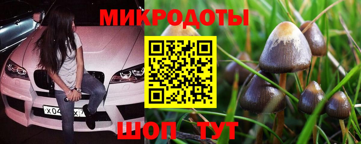 Галлюциногенные грибы Psilocybine cubensis Губкин