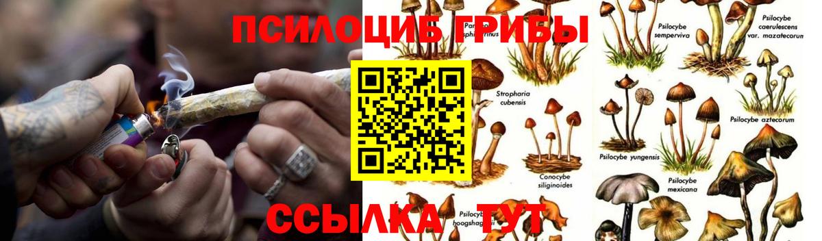 Галлюциногенные грибы Magic Shrooms  Галлюциногенные грибы Cubensis  Губкин  Вход с VPN 